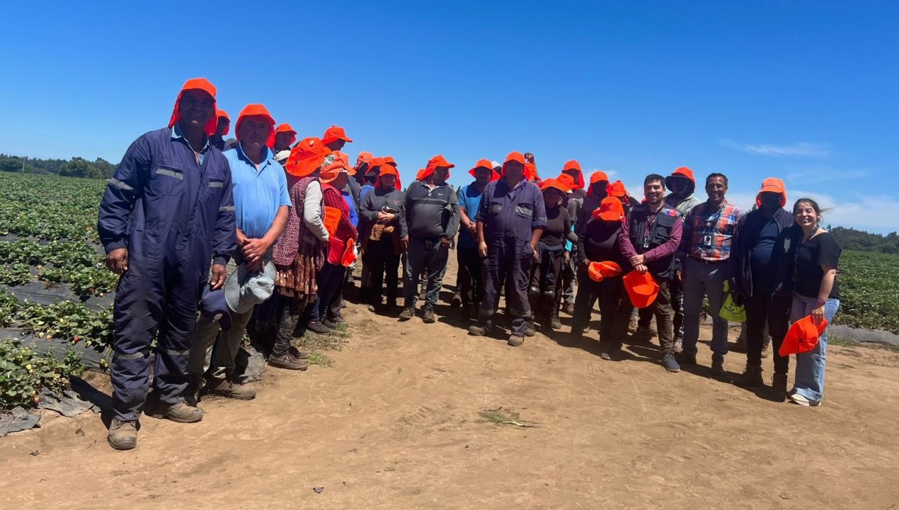 /seguridad-laboral-refuerzan-llamado-en-el-maule