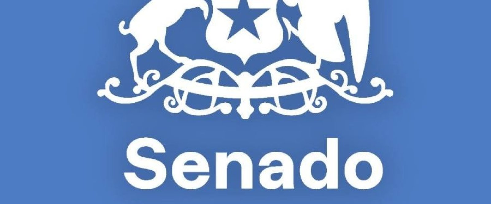 Resultados: Estos son los candidatos electos al Senado en las elecciones 2025