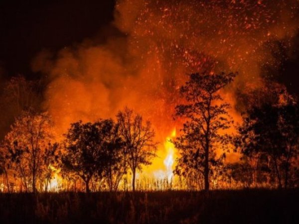 Agricultor detenido en Santo Domingo por presunta responsabilidad en incendio forestal