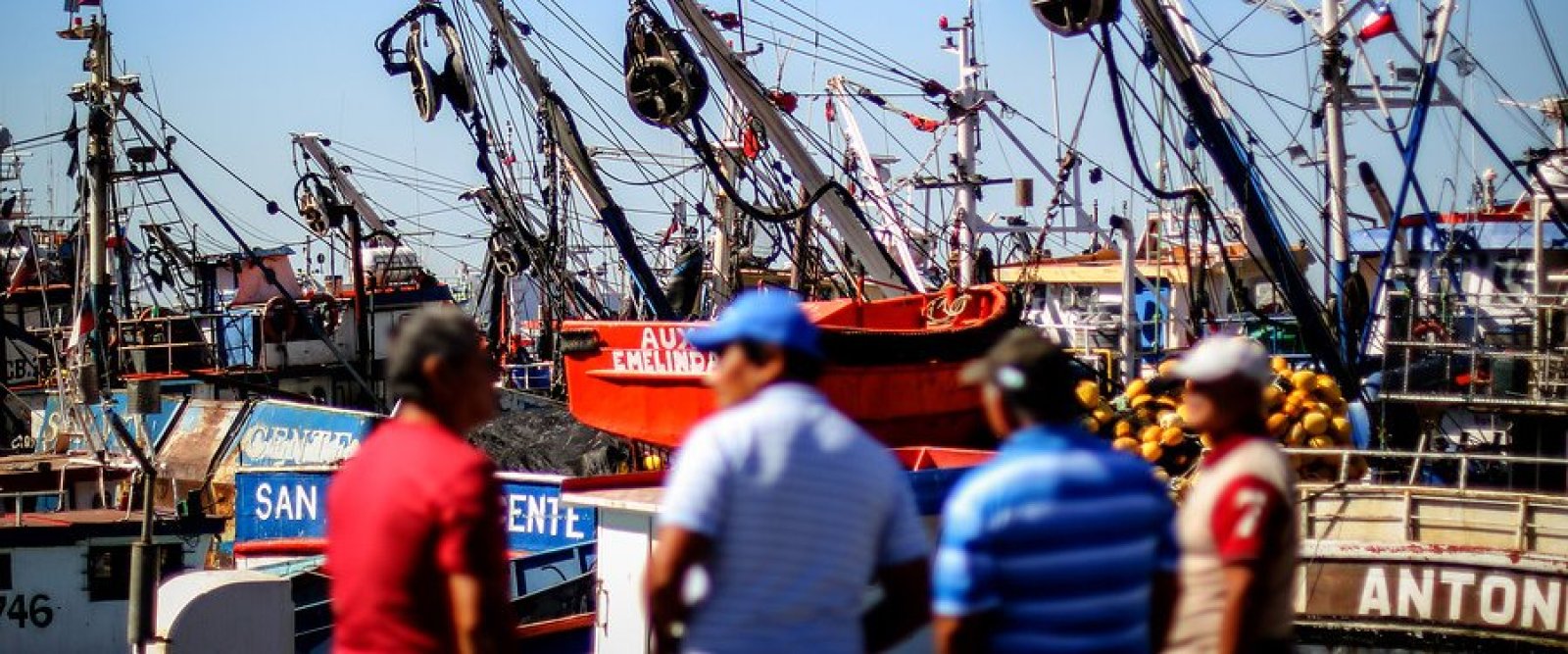 Polémica entre expertos y Subpesca por la Ley de Fraccionamiento pesquero