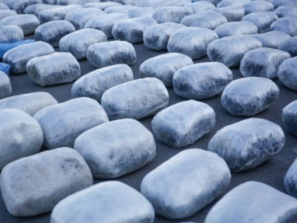 Mayor decomiso del año: incautan 2,4 toneladas de cannabis en Antofagasta