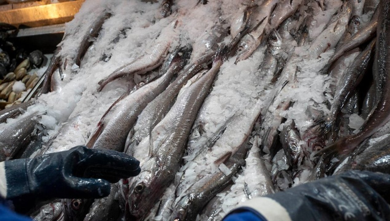 /actualidad/sernapesca-incauta-mas-de-22-toneladas-de-productos-del-mar-sin-origen