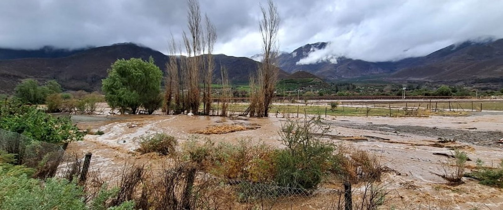 Cooperativa Control Pisquero busca a agricultores aislados en cuatro valles